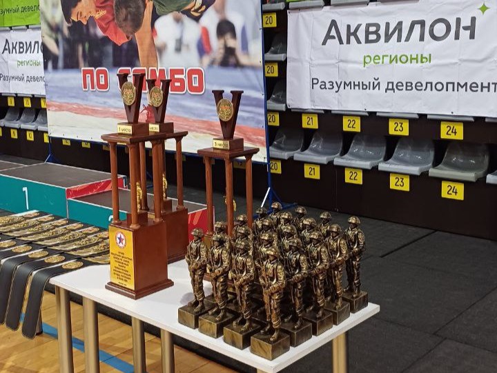 Группа Аквилон поддержала проведение Кубка по самбо в Иванове